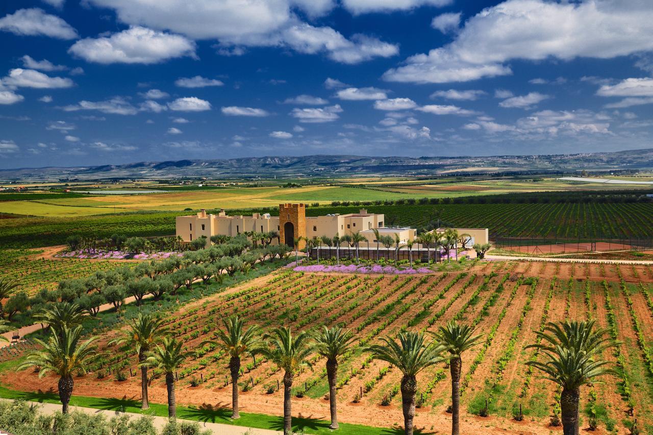 Chateau Roslane Boutique Hotel & Spa メクネス エクステリア 写真