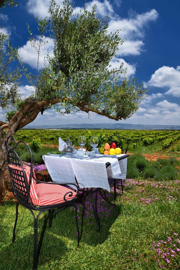 Chateau Roslane Boutique Hotel & Spa メクネス エクステリア 写真